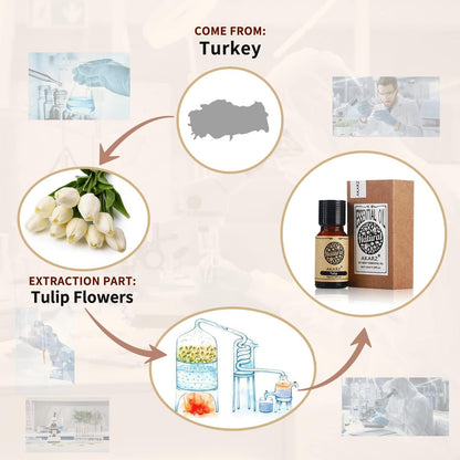 AKARZ Musk Essential Oil Natural Organic Pure Premium Musk Oil 0.34 Fl Oz (10ml)