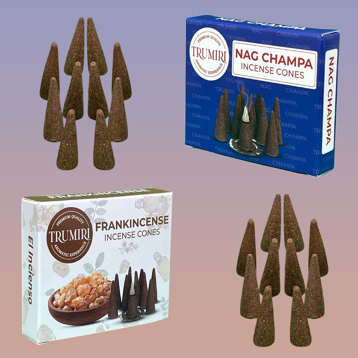 Incense Cones Combo Pack - 10 Cedar   10 Pine Scented Cones