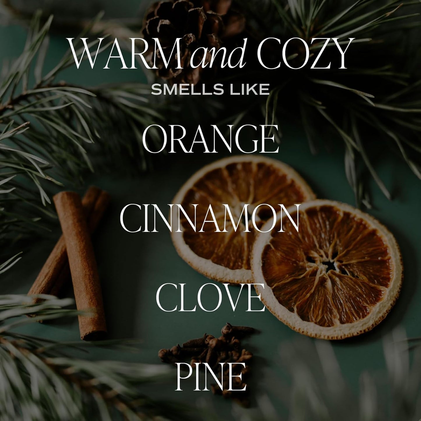 Sweet Water Decor Salt & Sea Reed Diffuser Set - Sea Salt Citrus & Musk Amber Scent Diffuser - Reed Diffusers for Home with Long Lasting Fragrance - Non-Toxic Oil Reed Diffuser - Made in the USA