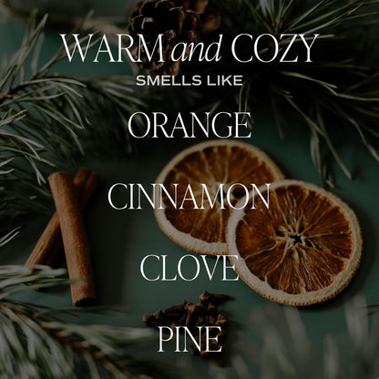 Sweet Water Decor Salt & Sea Reed Diffuser Set - Sea Salt Citrus & Musk Amber Scent Diffuser - Reed Diffusers for Home with Long Lasting Fragrance - Non-Toxic Oil Reed Diffuser - Made in the USA