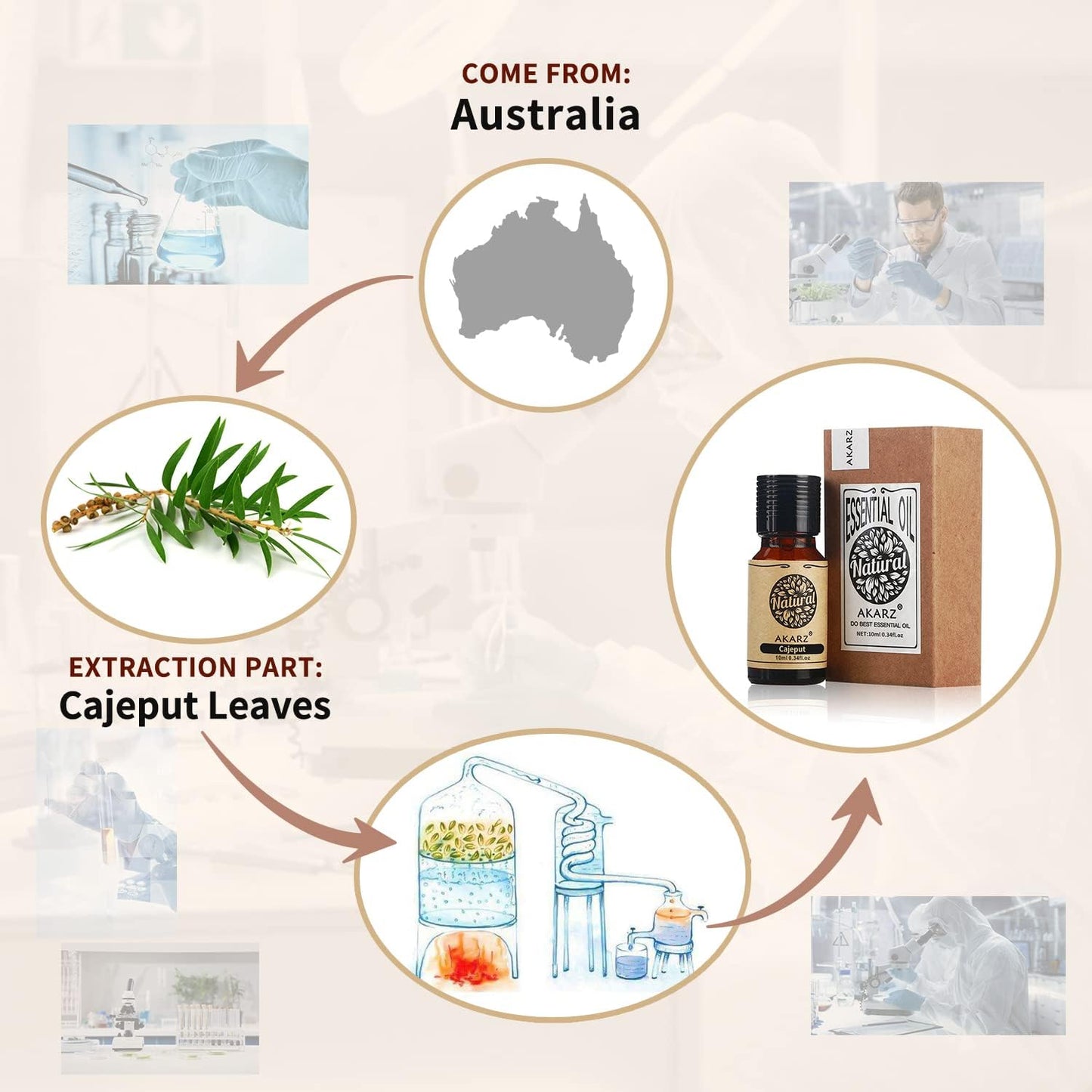 AKARZ Musk Essential Oil Natural Organic Pure Premium Musk Oil 0.34 Fl Oz (10ml)