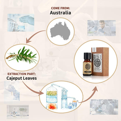 AKARZ Musk Essential Oil Natural Organic Pure Premium Musk Oil 0.34 Fl Oz (10ml)