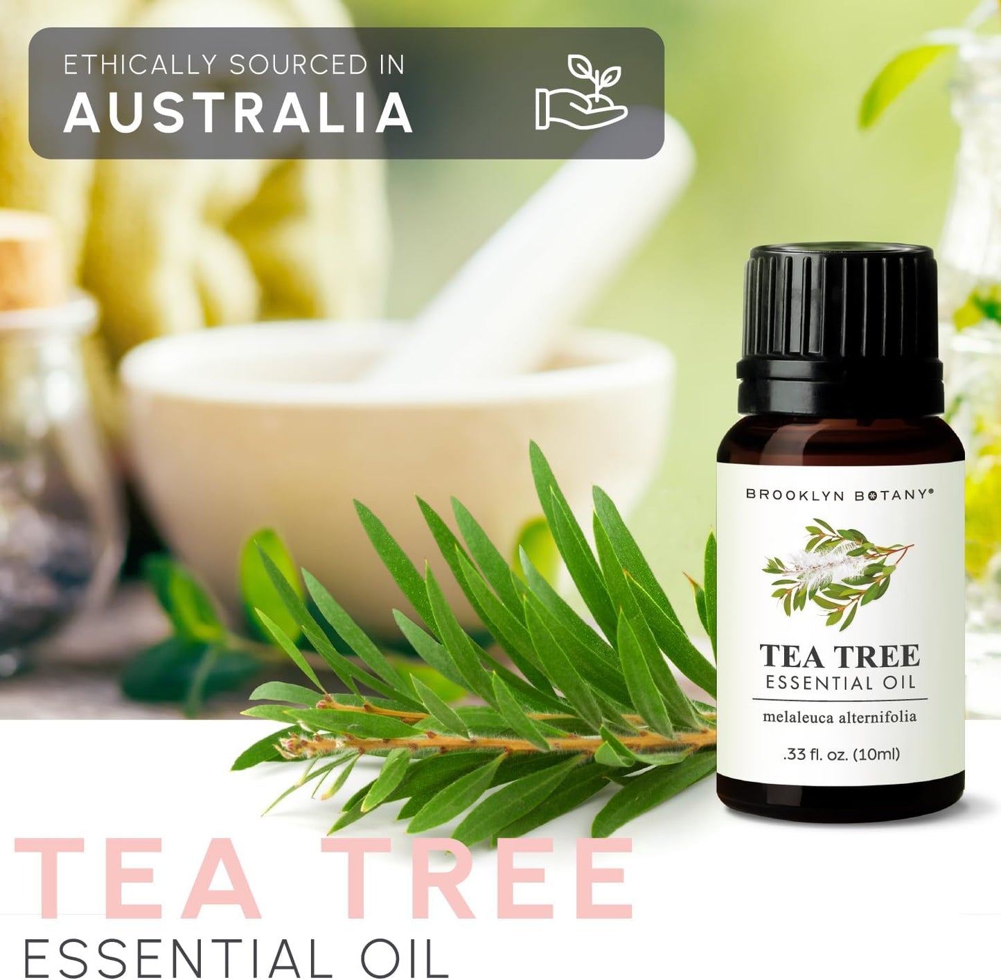 Brooklyn Botany Peppermint Essential Oil - 100% Pure and Natural - Premium Grade with Dropper - for Aromatherapy and Diffuser