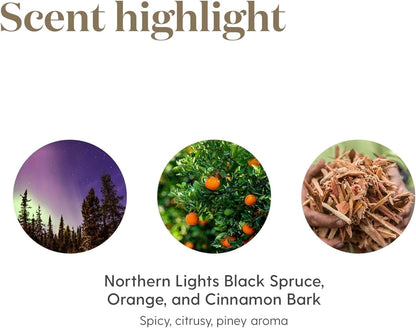Young Living Christmas Spirit Essential Oil | Use with Essential Oil Diffuser | Add to Spray Bottle to Spritz on Christmas Tree, Clothes, or The Home | Perfect Home Essentials for The Holidays