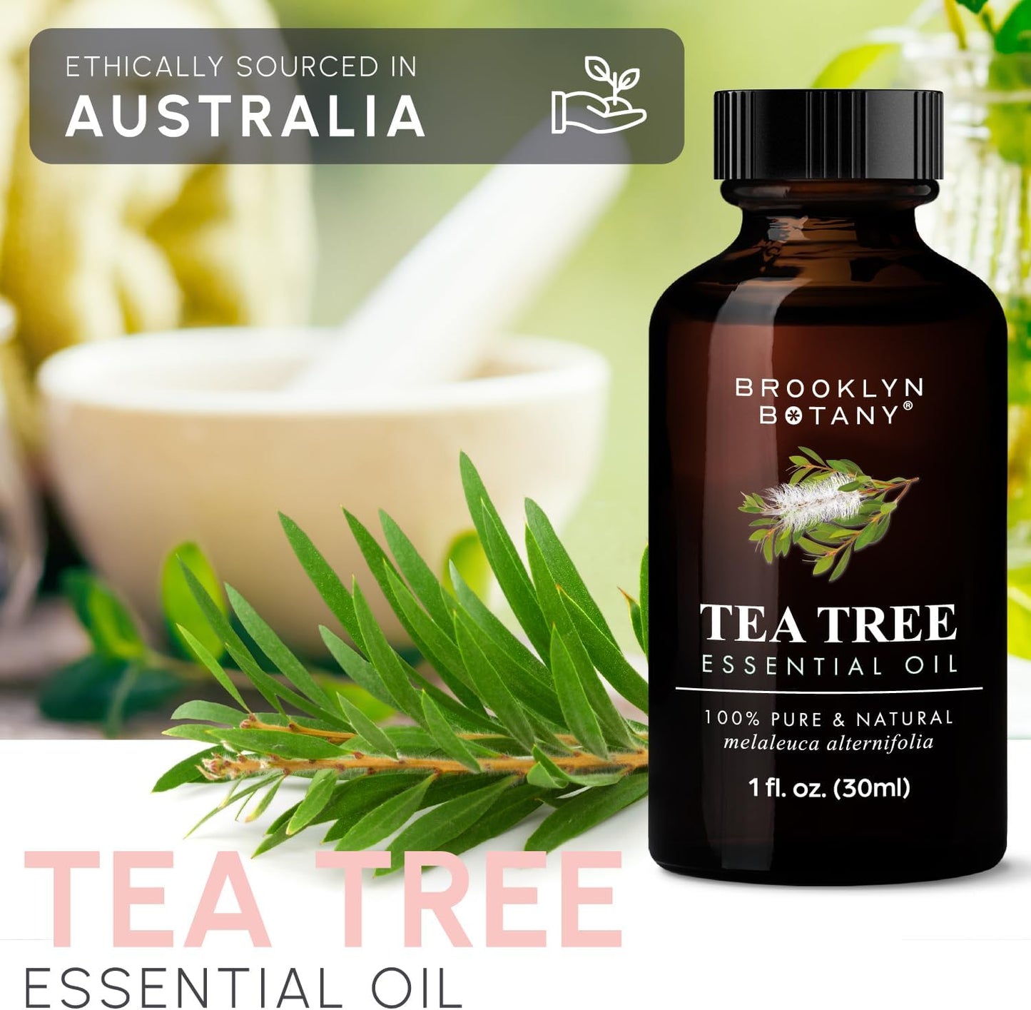 Brooklyn Botany Peppermint Essential Oil - 100% Pure and Natural - Premium Grade with Dropper - for Aromatherapy and Diffuser