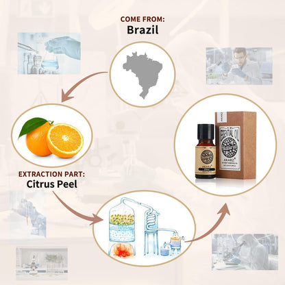AKARZ Musk Essential Oil Natural Organic Pure Premium Musk Oil 0.34 Fl Oz (10ml)