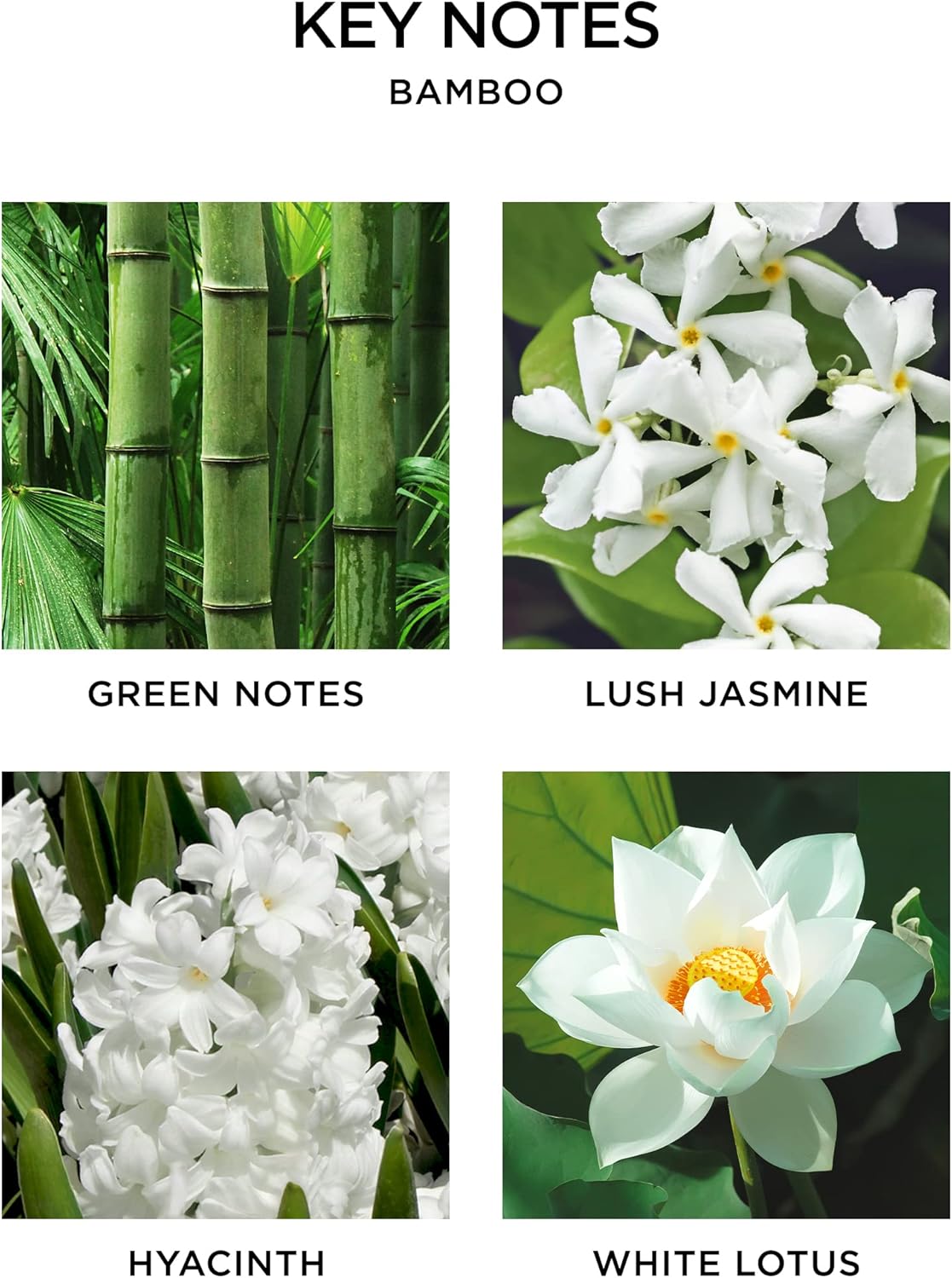 NEST Fragrances Reed Diffuser- Bamboo , 5.9 fl oz