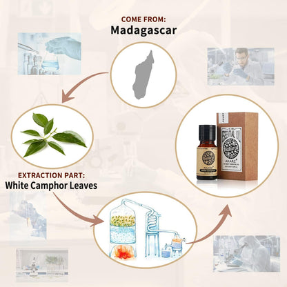 AKARZ Musk Essential Oil Natural Organic Pure Premium Musk Oil 0.34 Fl Oz (10ml)