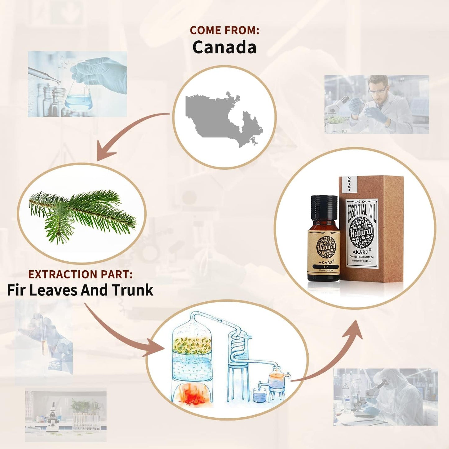 AKARZ Musk Essential Oil Natural Organic Pure Premium Musk Oil 0.34 Fl Oz (10ml)