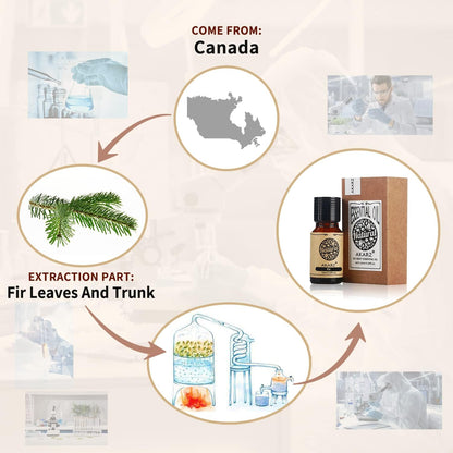 AKARZ Musk Essential Oil Natural Organic Pure Premium Musk Oil 0.34 Fl Oz (10ml)