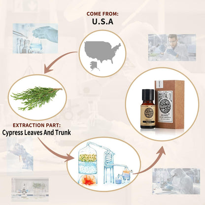 AKARZ Musk Essential Oil Natural Organic Pure Premium Musk Oil 0.34 Fl Oz (10ml)