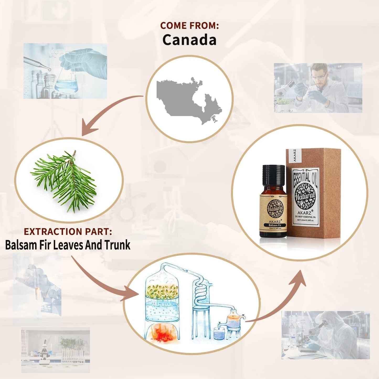 AKARZ Musk Essential Oil Natural Organic Pure Premium Musk Oil 0.34 Fl Oz (10ml)