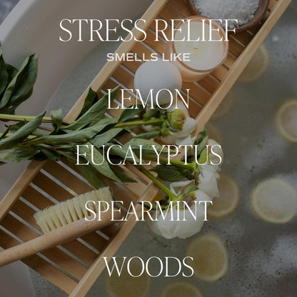 Sweet Water Decor Salt & Sea Reed Diffuser Set - Sea Salt Citrus & Musk Amber Scent Diffuser - Reed Diffusers for Home with Long Lasting Fragrance - Non-Toxic Oil Reed Diffuser - Made in the USA