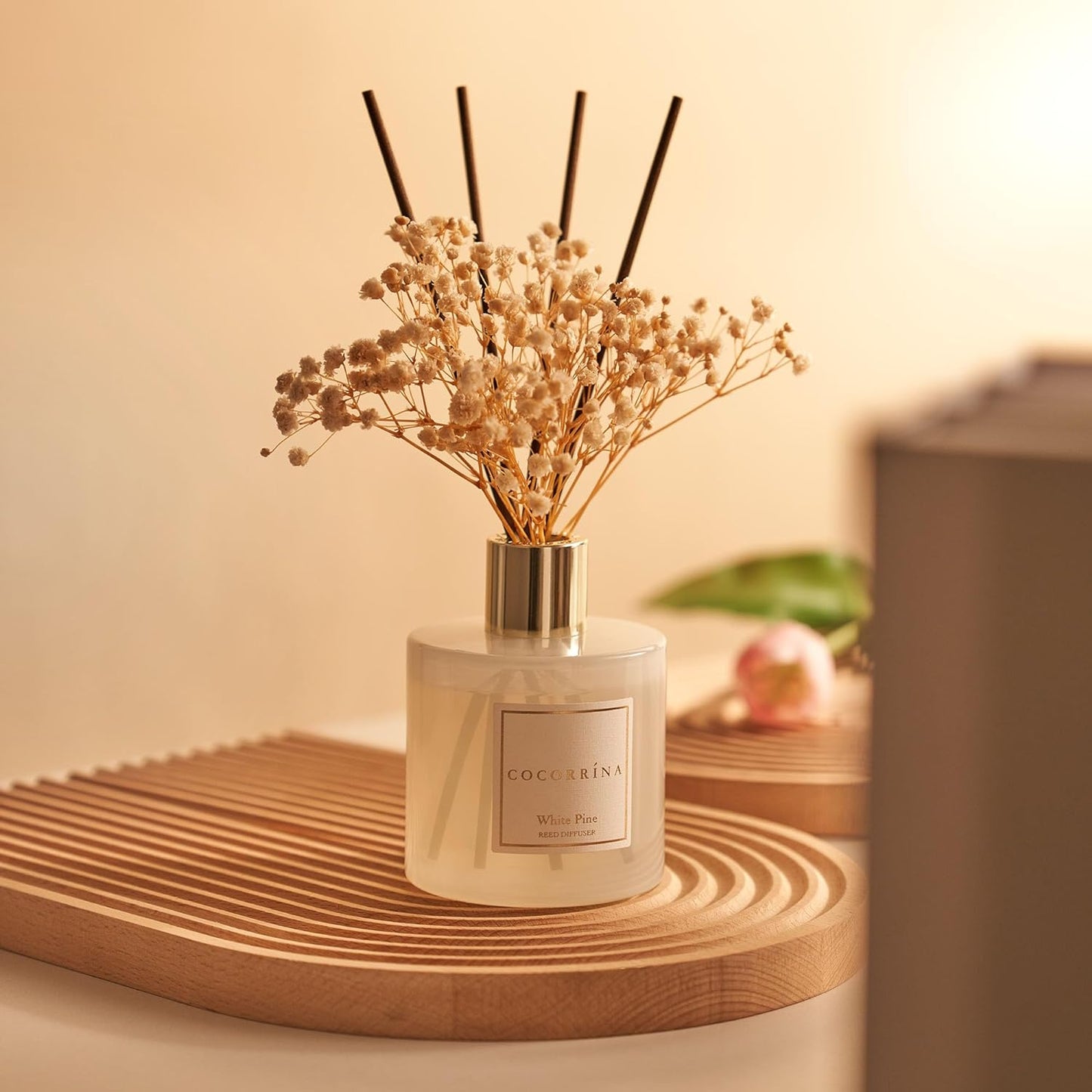 COCORRÍNA Reed Diffuser Set, Clean Linen Scented Diffuser with Sticks Home Fragrance Reed Diffuser for Bathroom Shelf Decor