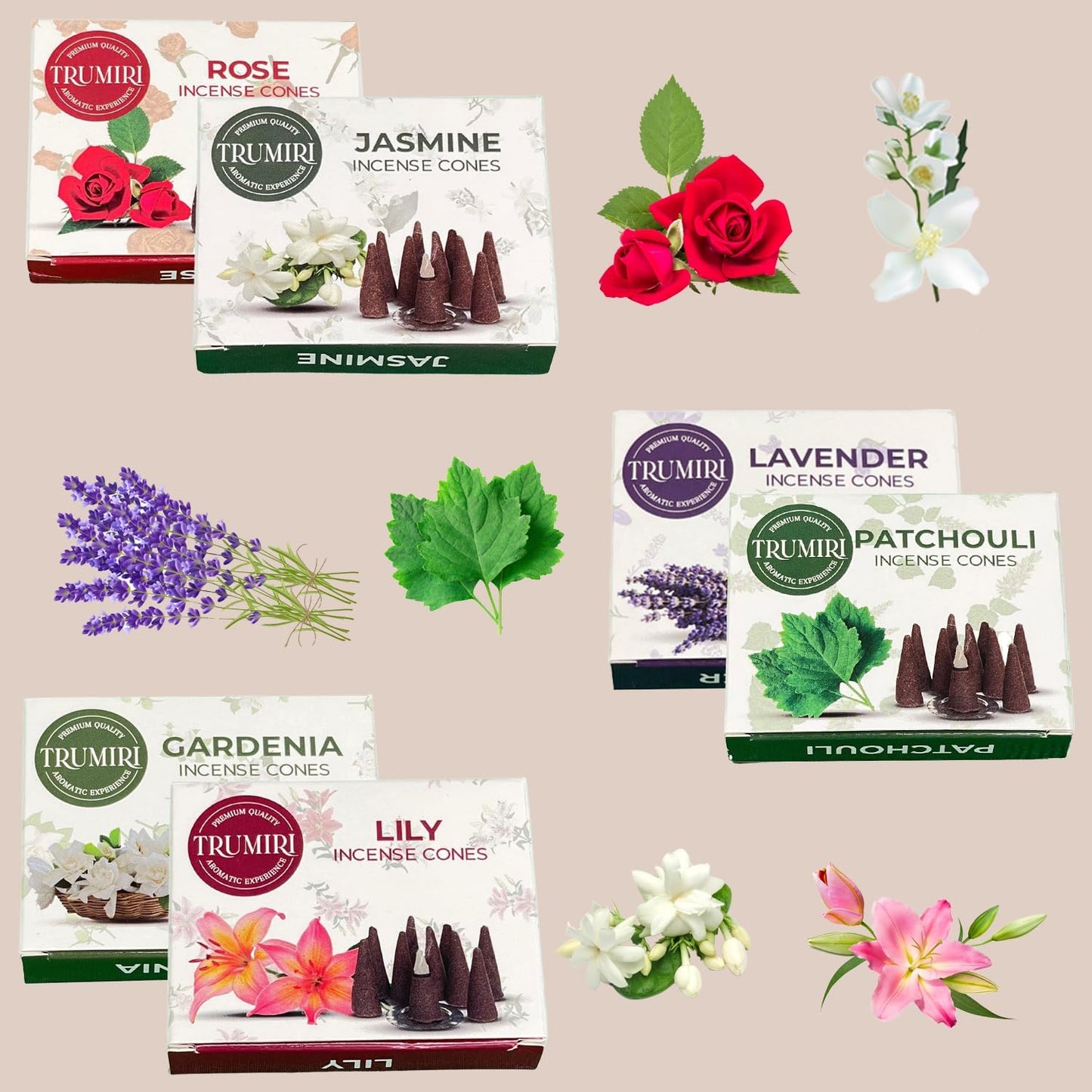 Trumiri Woody Incense Cones - Variety Pack - Total 60 Cone Incense (6 Scents x 10 Conos) - White Sage, Palo Santo, Dragons Blood, Sandalwood - Inscents-Cones Scented - Insense Cones - Incent Cone