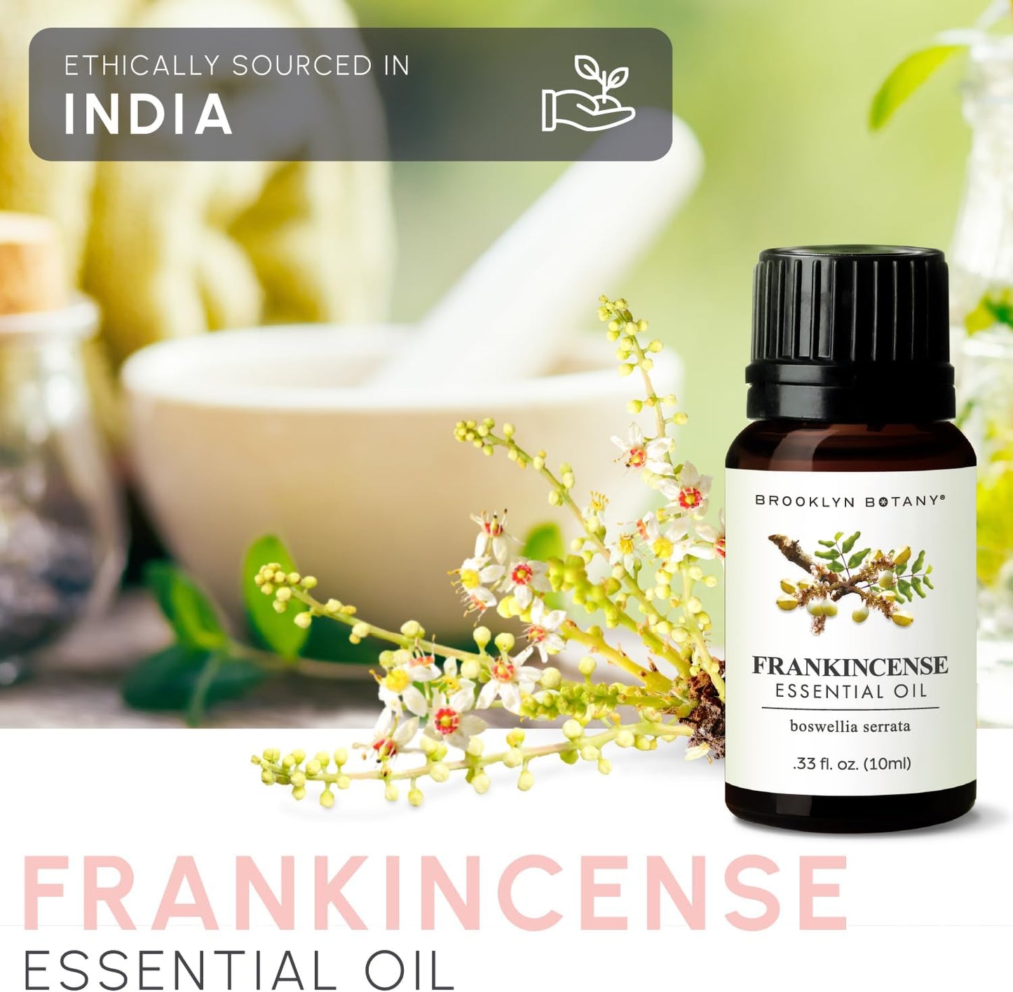 Brooklyn Botany Peppermint Essential Oil - 100% Pure and Natural - Premium Grade with Dropper - for Aromatherapy and Diffuser