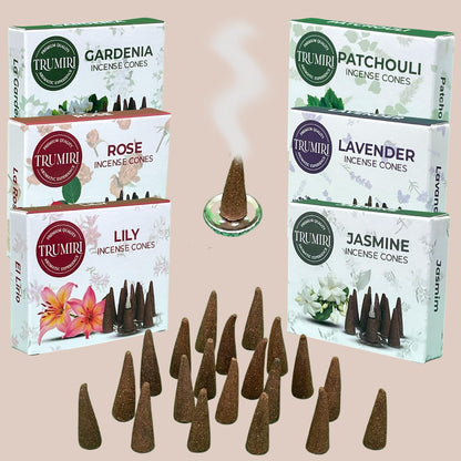 Trumiri Woody Incense Cones - Variety Pack - Total 60 Cone Incense (6 Scents x 10 Conos) - White Sage, Palo Santo, Dragons Blood, Sandalwood - Inscents-Cones Scented - Insense Cones - Incent Cone