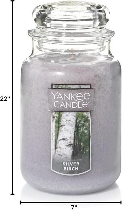 Yankee Candle | Silver Birch Scented, Classic 22oz Large Jar Single Wick Aromatherapy Candle, Over 110 Hours of Burn Time, Autumn Candle Scented for Home