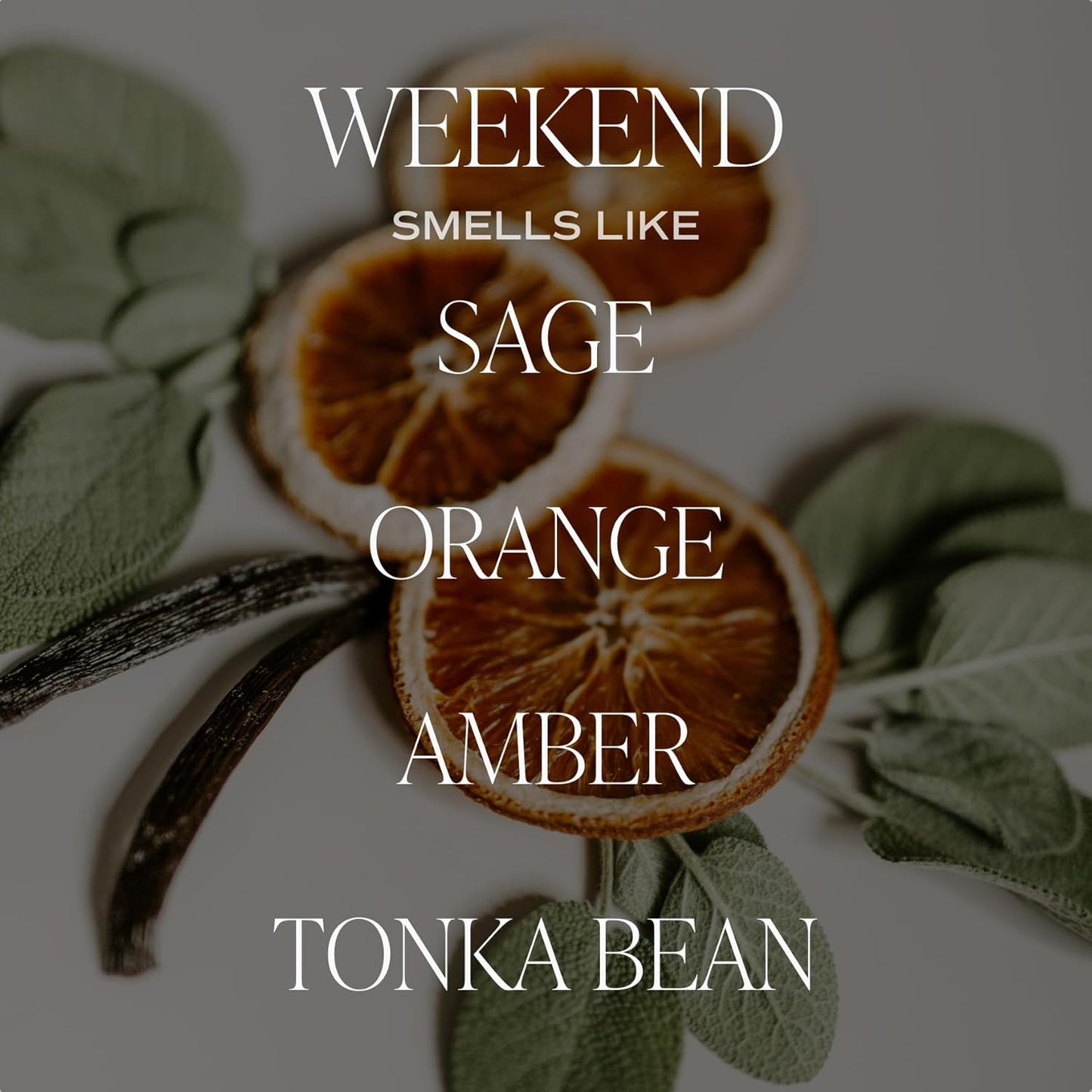 Sweet Water Decor Salt & Sea Reed Diffuser Set - Sea Salt Citrus & Musk Amber Scent Diffuser - Reed Diffusers for Home with Long Lasting Fragrance - Non-Toxic Oil Reed Diffuser - Made in the USA