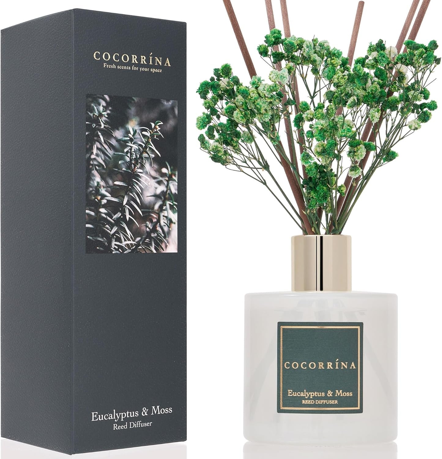 COCORRÍNA Reed Diffuser Set, Clean Linen Scented Diffuser with Sticks Home Fragrance Reed Diffuser for Bathroom Shelf Decor