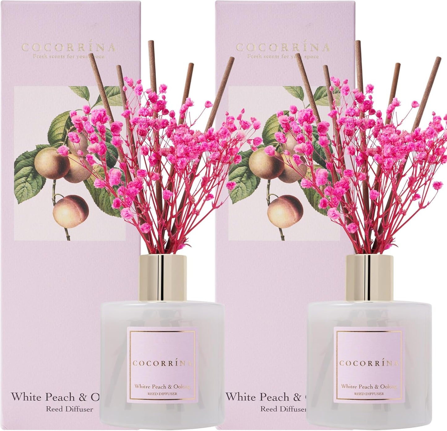 COCORRÍNA Reed Diffuser Set, Clean Linen Scented Diffuser with Sticks Home Fragrance Reed Diffuser for Bathroom Shelf Decor