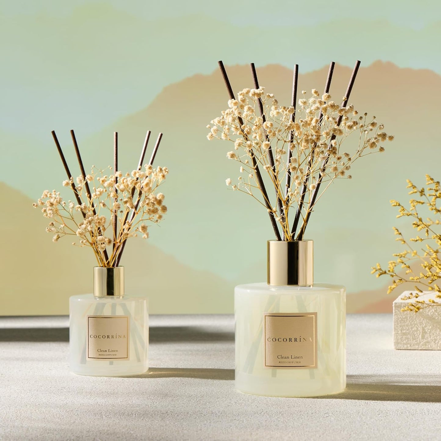 COCORRÍNA Reed Diffuser Set, Clean Linen Scented Diffuser with Sticks Home Fragrance Reed Diffuser for Bathroom Shelf Decor