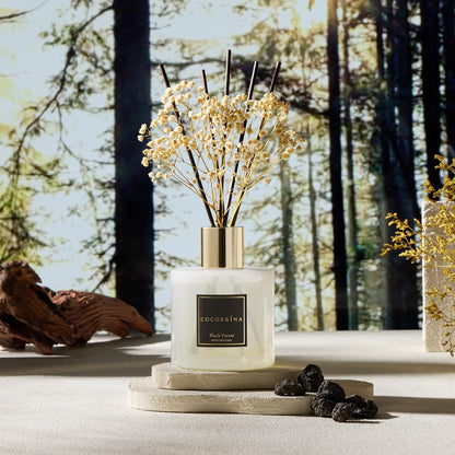 COCORRÍNA Reed Diffuser Set, Clean Linen Scented Diffuser with Sticks Home Fragrance Reed Diffuser for Bathroom Shelf Decor
