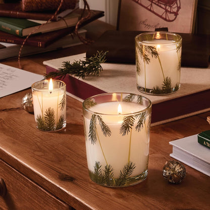 Thymes Frasier Fir Pine Needle Candle - Highly Scented Candles for a Luxury Home Fragrance - Holiday Candles with a Forest Fragrance - Single-Wick Candle (6.5 oz)