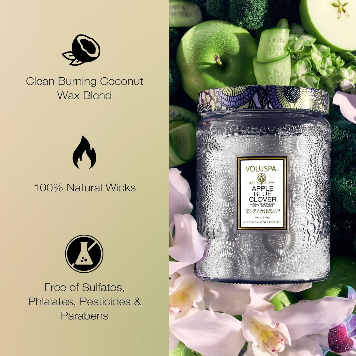 Voluspa Goji Tarocco Orange, Large Candle Jar, 18 oz, 100 Hour Burn Time, All Natural Wicks and Coconut Wax for Clean Burning, Vegan, Poured in the USA