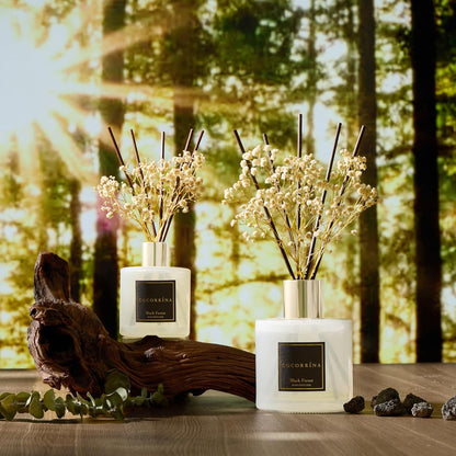 COCORRÍNA Reed Diffuser Set, Clean Linen Scented Diffuser with Sticks Home Fragrance Reed Diffuser for Bathroom Shelf Decor