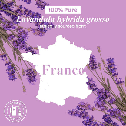 Lavender Essential Oil - Huge 4 Fl Oz - 100% Pure and Natural - Premium Grade Essential Oil for Diffuser and Aromatherapy