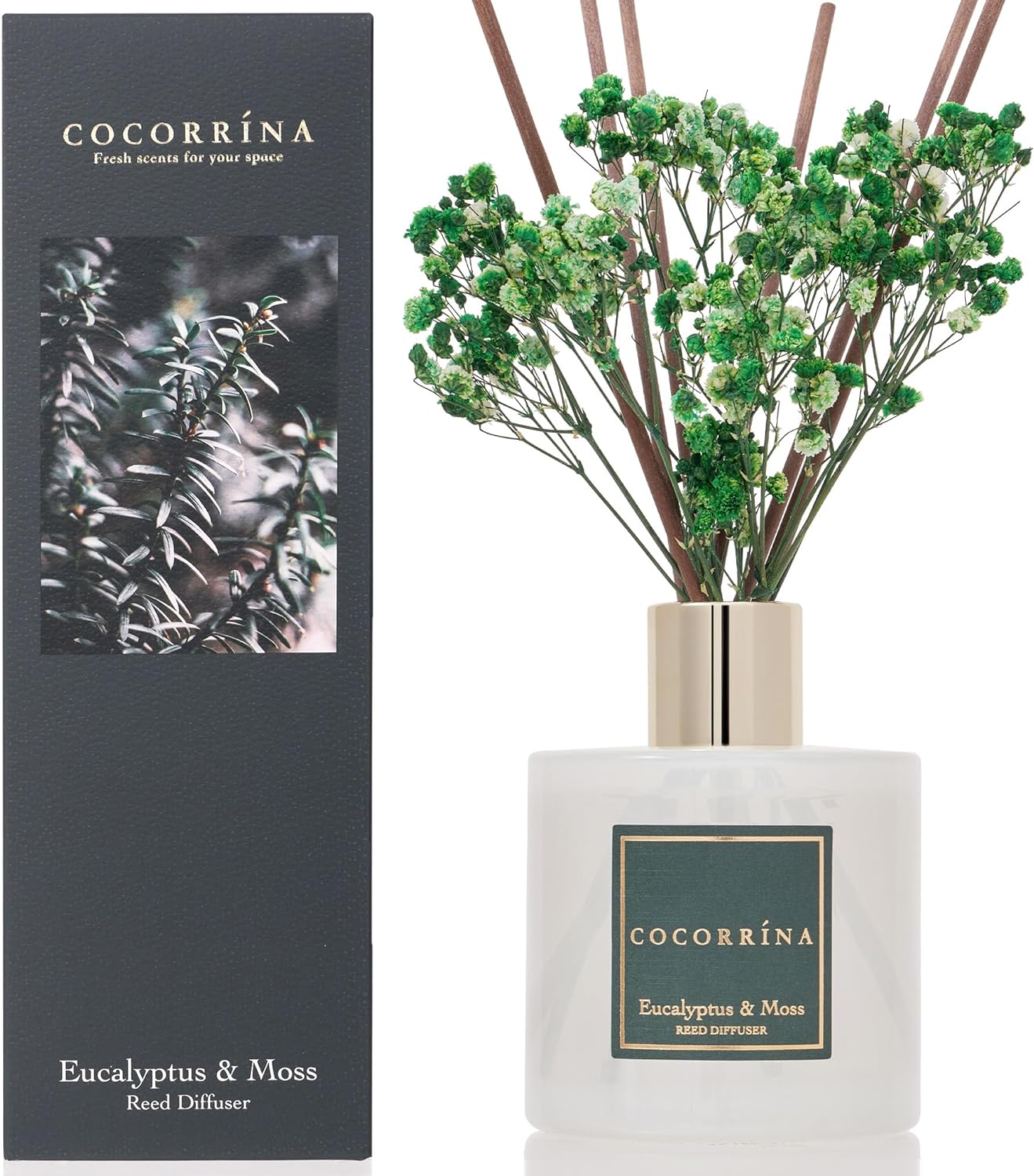 COCORRÍNA Reed Diffuser Set, Clean Linen Scented Diffuser with Sticks Home Fragrance Reed Diffuser for Bathroom Shelf Decor