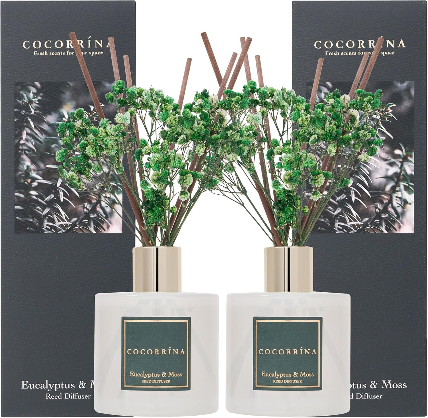 COCORRÍNA Reed Diffuser Set, Clean Linen Scented Diffuser with Sticks Home Fragrance Reed Diffuser for Bathroom Shelf Decor