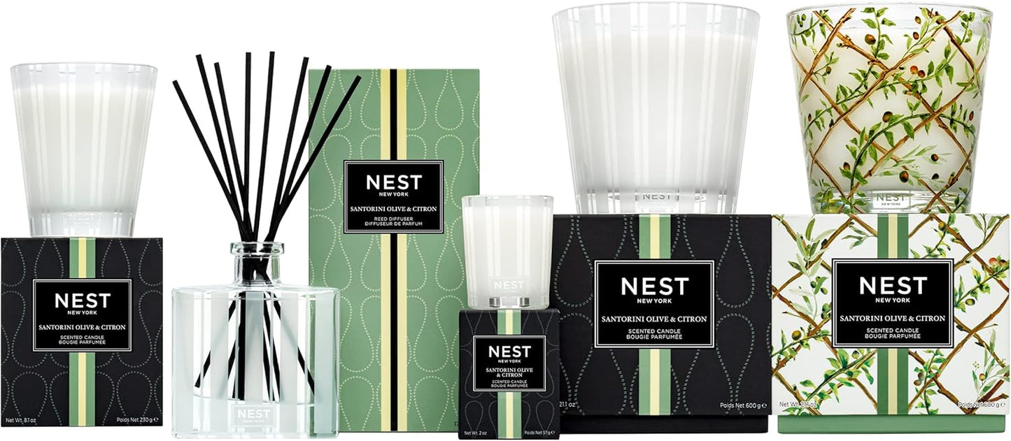 NEST Fragrances Reed Diffuser- Bamboo , 5.9 fl oz
