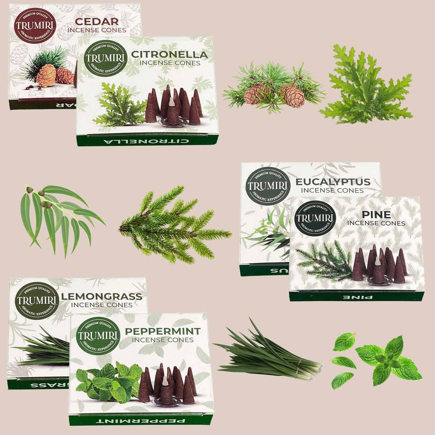 Trumiri Woody Incense Cones - Variety Pack - Total 60 Cone Incense (6 Scents x 10 Conos) - White Sage, Palo Santo, Dragons Blood, Sandalwood - Inscents-Cones Scented - Insense Cones - Incent Cone
