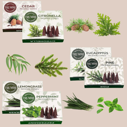 Trumiri Woody Incense Cones - Variety Pack - Total 60 Cone Incense (6 Scents x 10 Conos) - White Sage, Palo Santo, Dragons Blood, Sandalwood - Inscents-Cones Scented - Insense Cones - Incent Cone