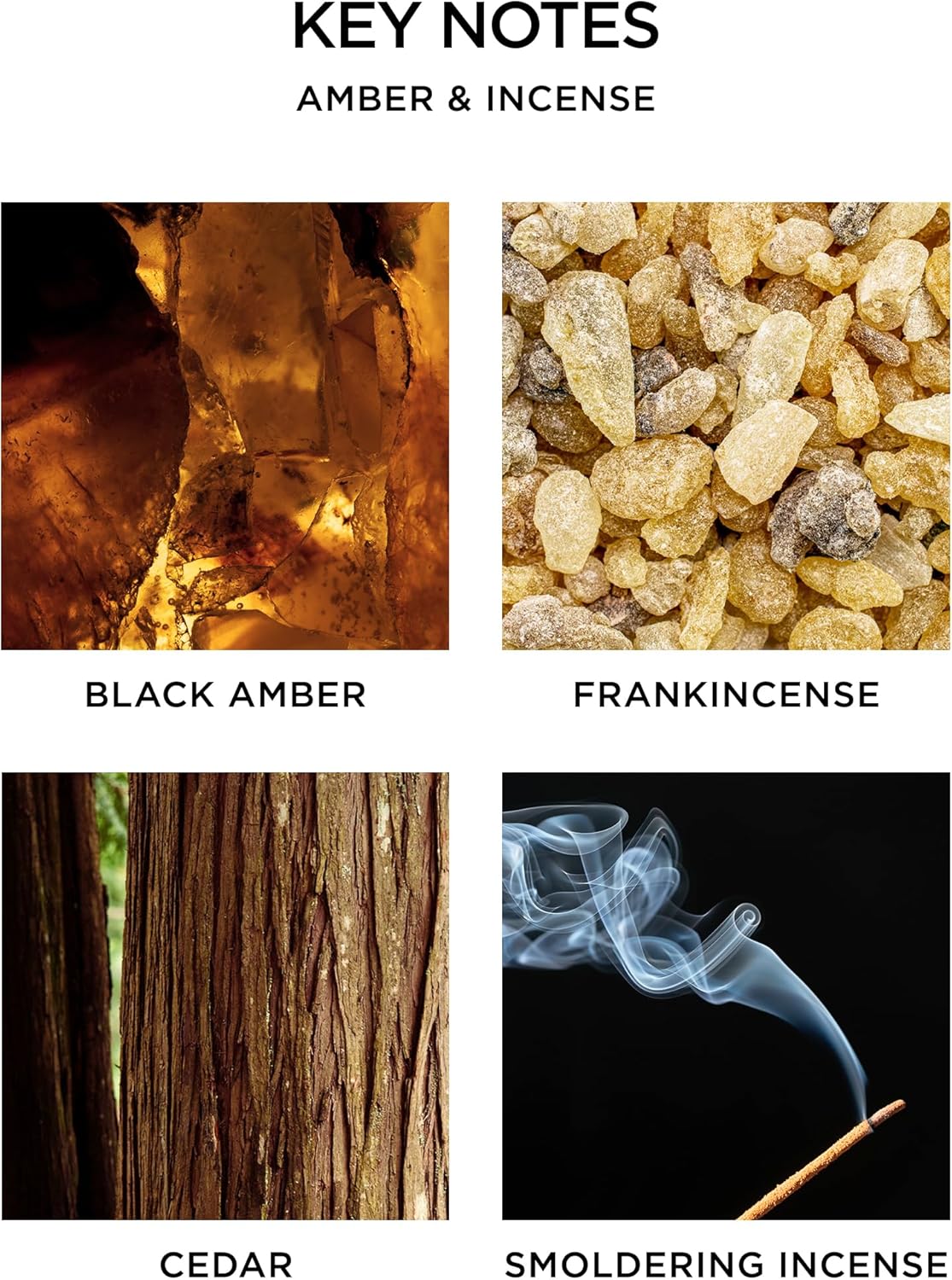 NEST Fragrances Reed Diffuser- Bamboo , 5.9 fl oz