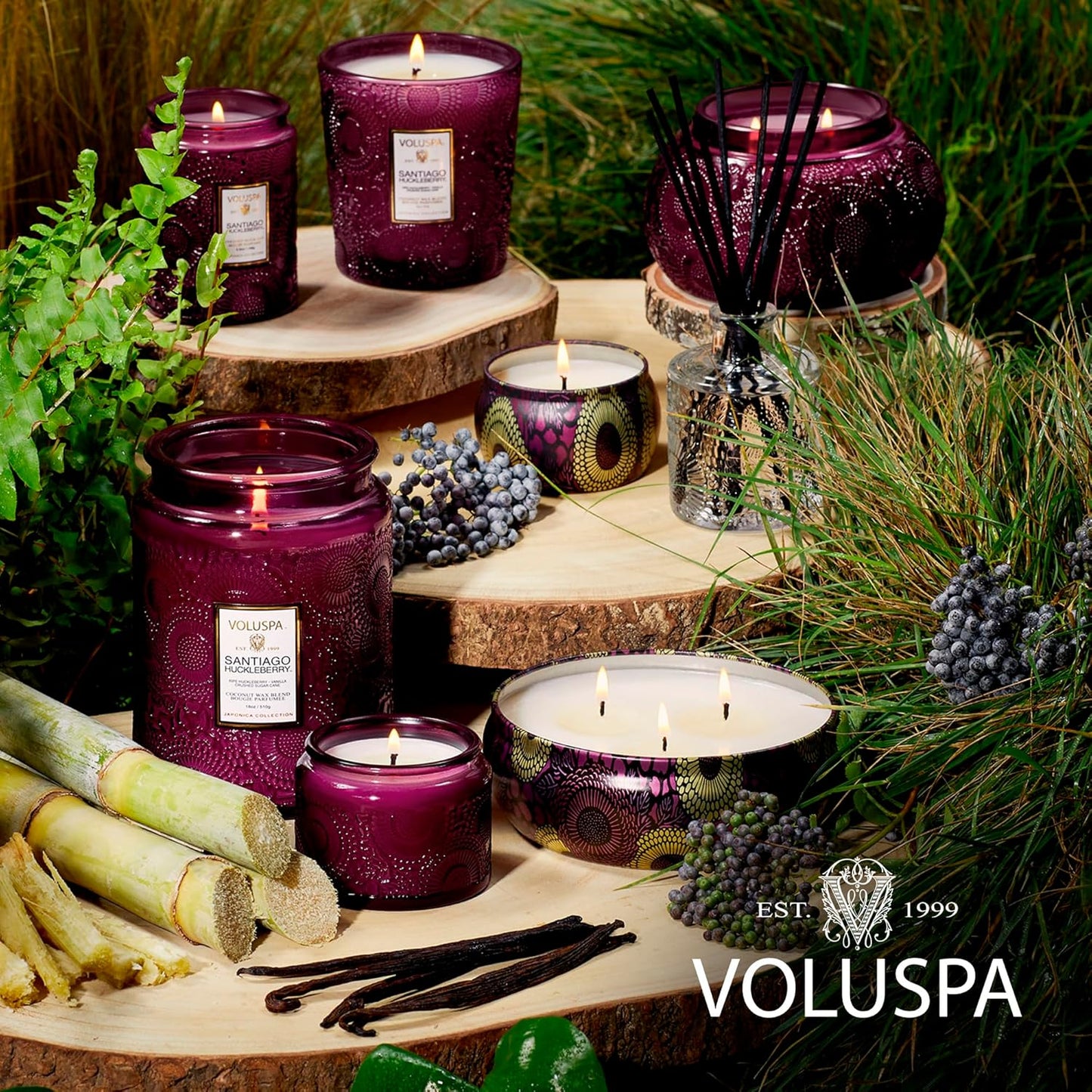 Voluspa Goji Tarocco Orange, Large Candle Jar, 18 oz, 100 Hour Burn Time, All Natural Wicks and Coconut Wax for Clean Burning, Vegan, Poured in the USA