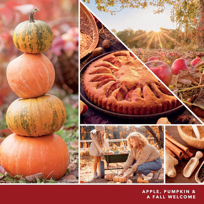 Yankee Candle | Apple Pumpkin Scented, Classic 22oz Large Jar Single Wick Aromatherapy Candle, Over 110 Hours of Burn Time