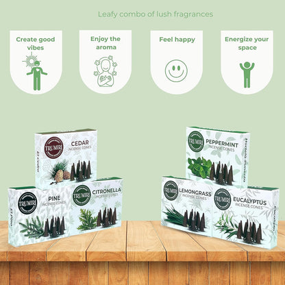 Trumiri Woody Incense Cones - Variety Pack - Total 60 Cone Incense (6 Scents x 10 Conos) - White Sage, Palo Santo, Dragons Blood, Sandalwood - Inscents-Cones Scented - Insense Cones - Incent Cone