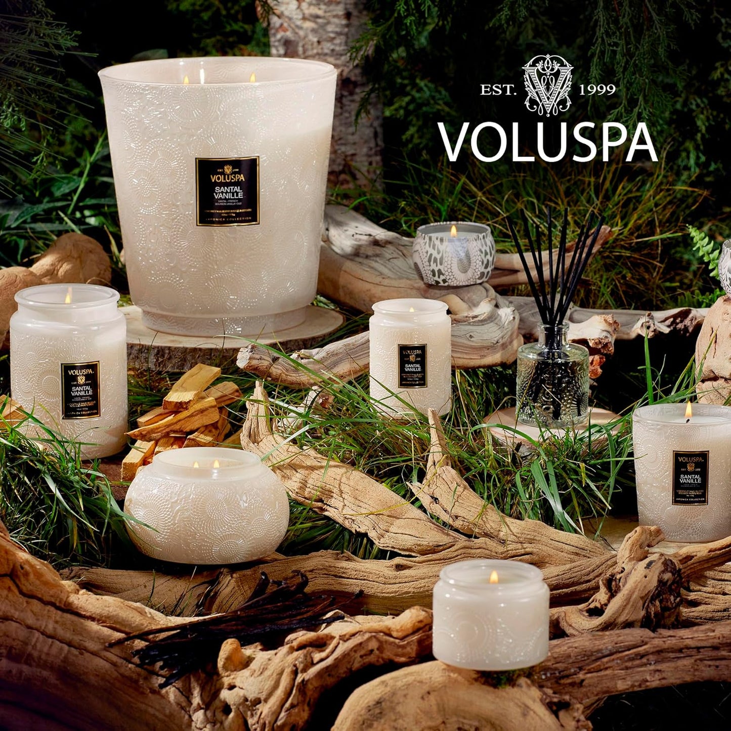 Voluspa Goji Tarocco Orange, Large Candle Jar, 18 oz, 100 Hour Burn Time, All Natural Wicks and Coconut Wax for Clean Burning, Vegan, Poured in the USA