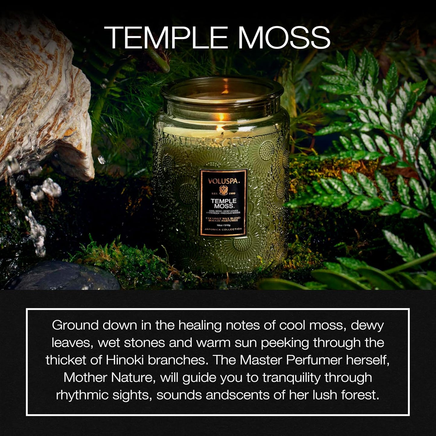 Voluspa Goji Tarocco Orange, Large Candle Jar, 18 oz, 100 Hour Burn Time, All Natural Wicks and Coconut Wax for Clean Burning, Vegan, Poured in the USA