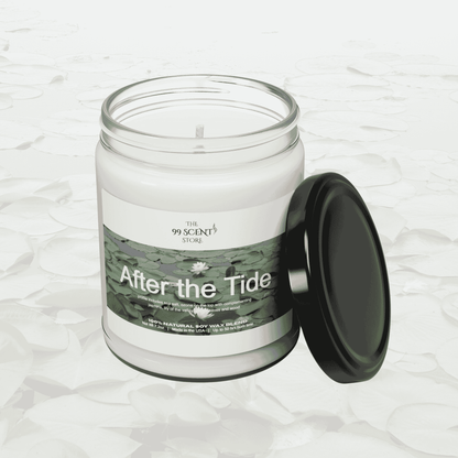 After the Tide