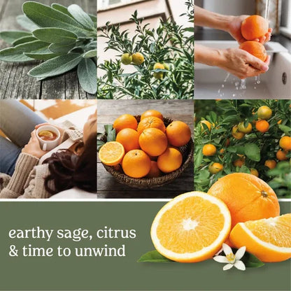 Yankee Candle | Sage & Citrus Scented, Classic 22oz Large Jar Single Wick Aromatherapy Candle, Over 110 Hours of Burn Time