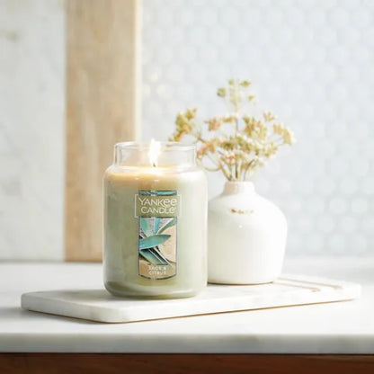 Yankee Candle | Sage & Citrus Scented, Classic 22oz Large Jar Single Wick Aromatherapy Candle, Over 110 Hours of Burn Time